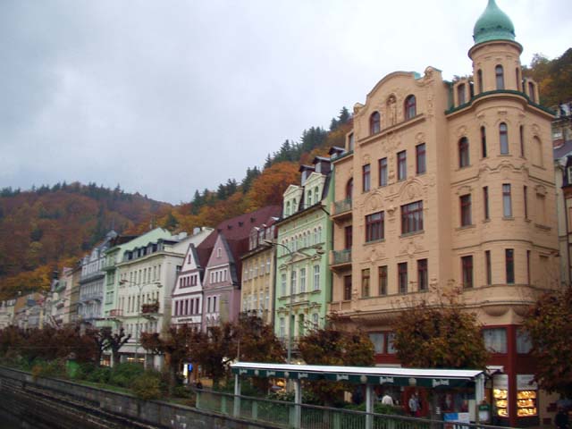 P1010126.jpg