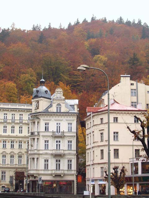 P1010128.jpg