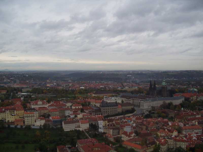 P1010001.JPG