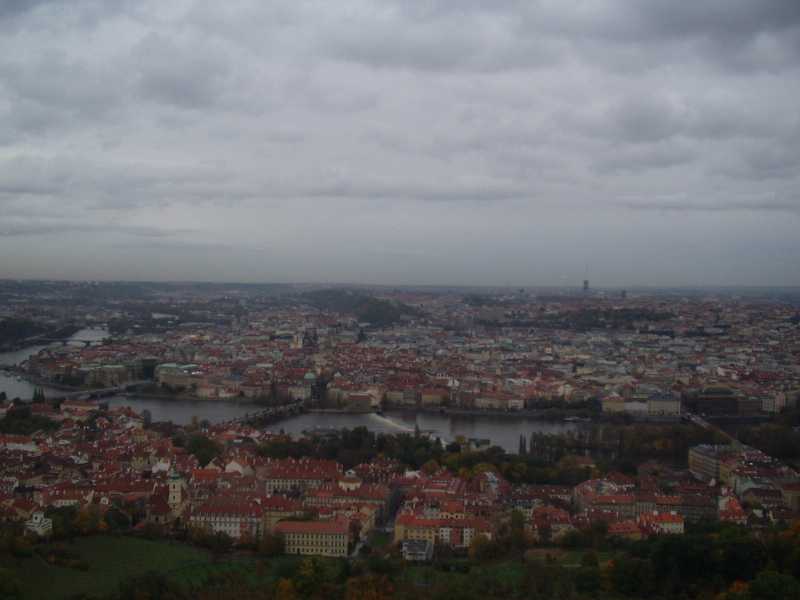 P1010005.JPG