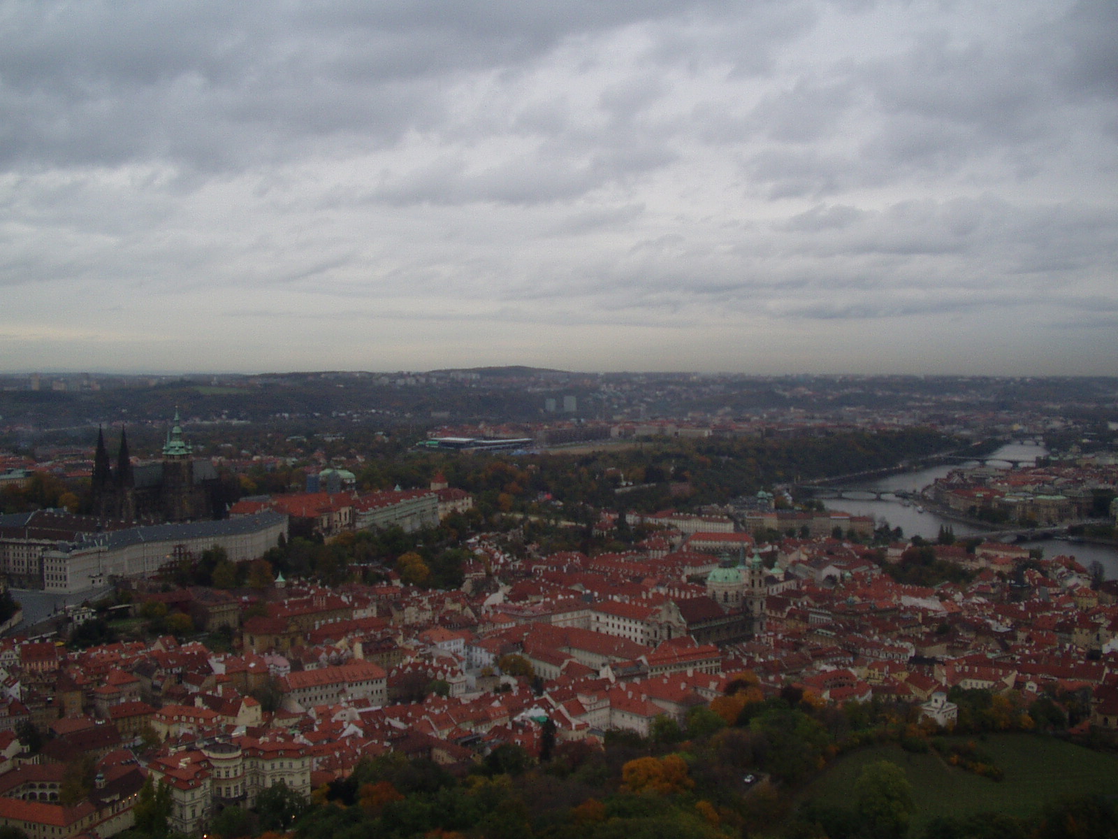 P1010003.JPG