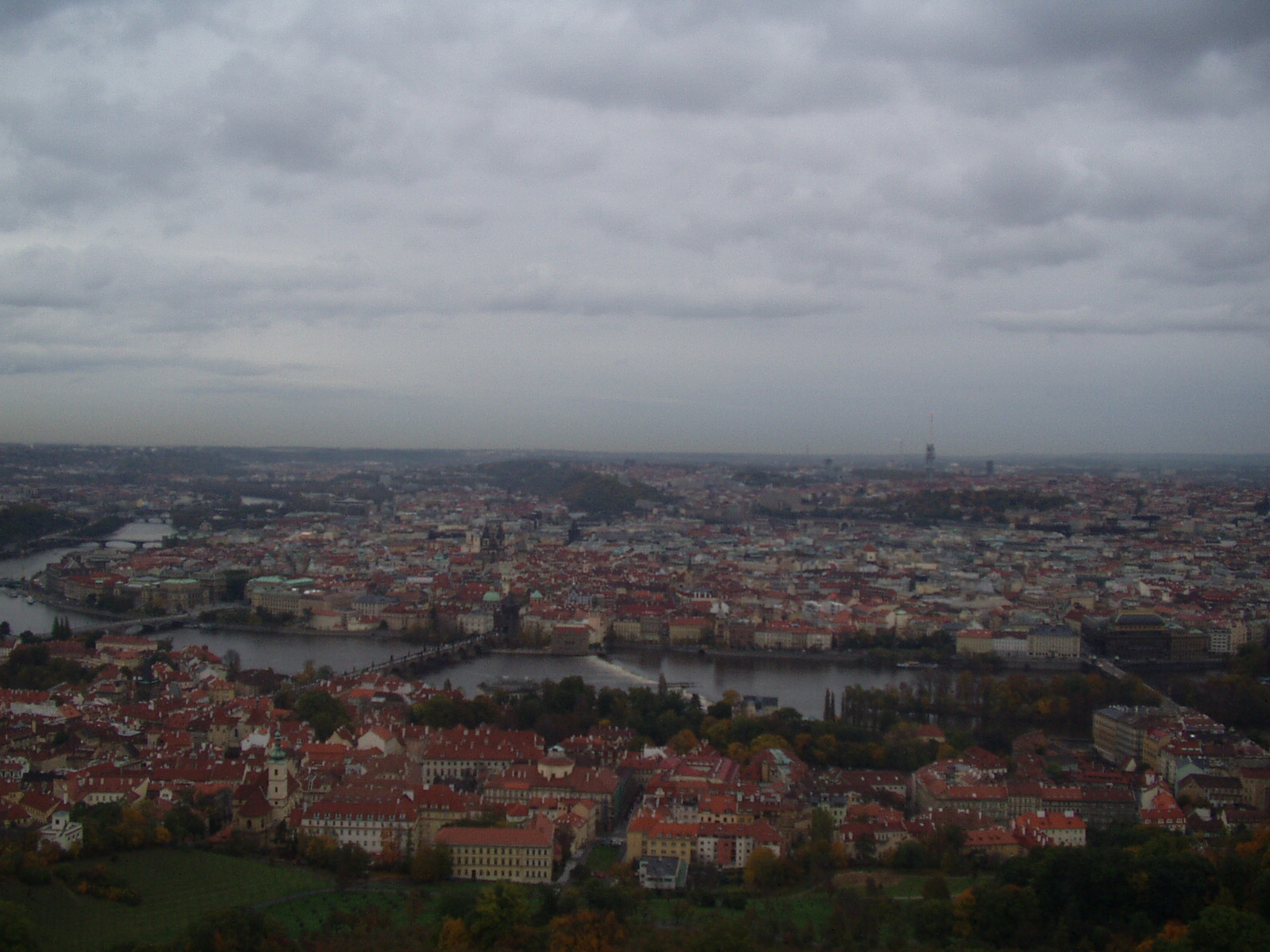 P1010005.JPG