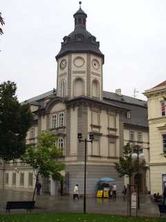 P1010091.jpg