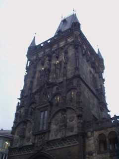 P1010005.jpg