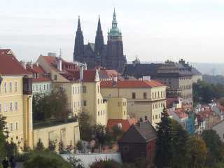 P1010028.jpg