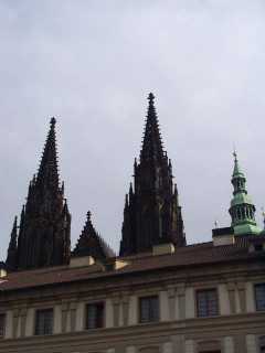 P1010044.jpg