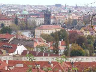 P1010061.jpg