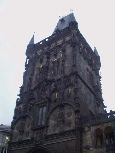 P1010005.jpg