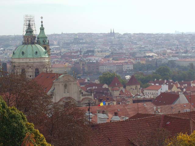 P1010040.jpg