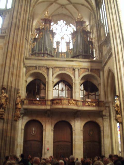 P1010046.jpg
