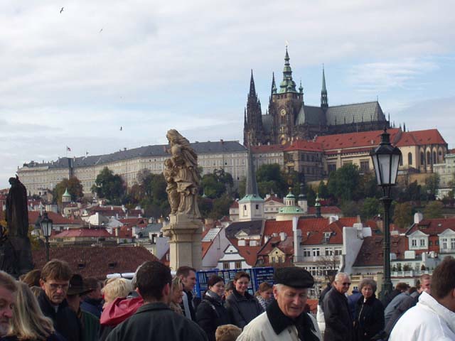 P1010074.jpg