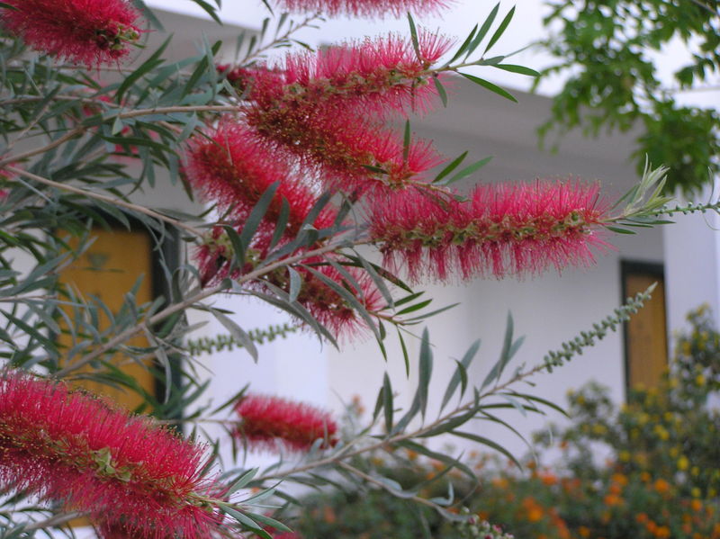 p3290087.jpg