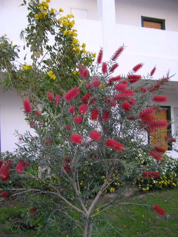p3290088.jpg