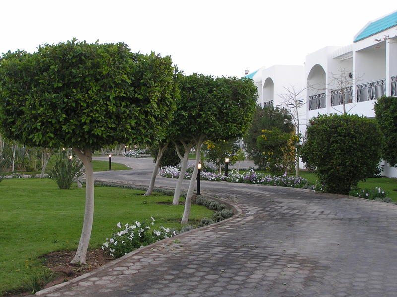 p3290090.jpg