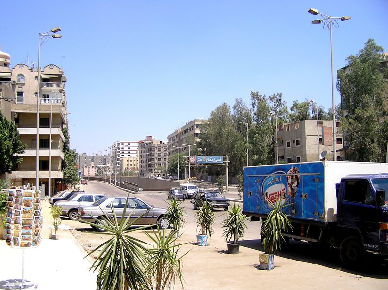 p5200064.jpg