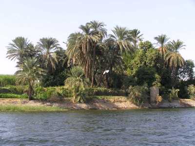 pb020074.jpg
