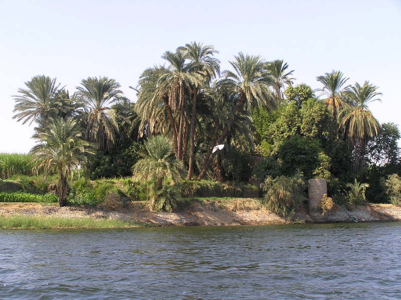 pb020074.jpg