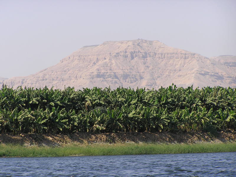 pb020076.jpg