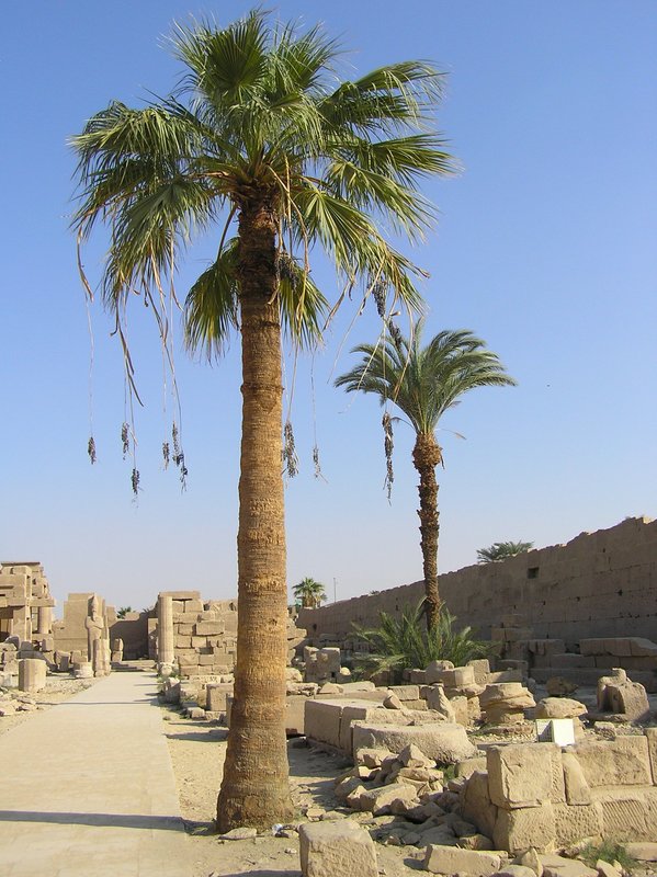 pb020098.jpg