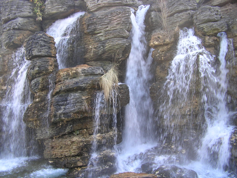 P2150166.JPG