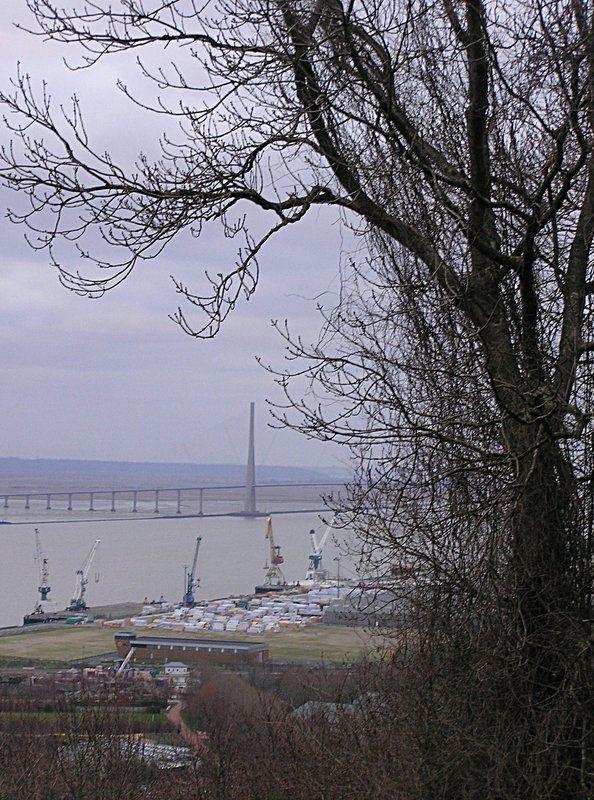 P2140125.JPG