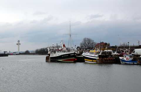 IMG_3991.jpg