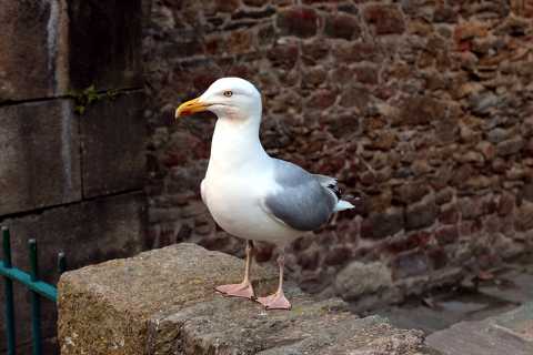 IMG_4063.jpg