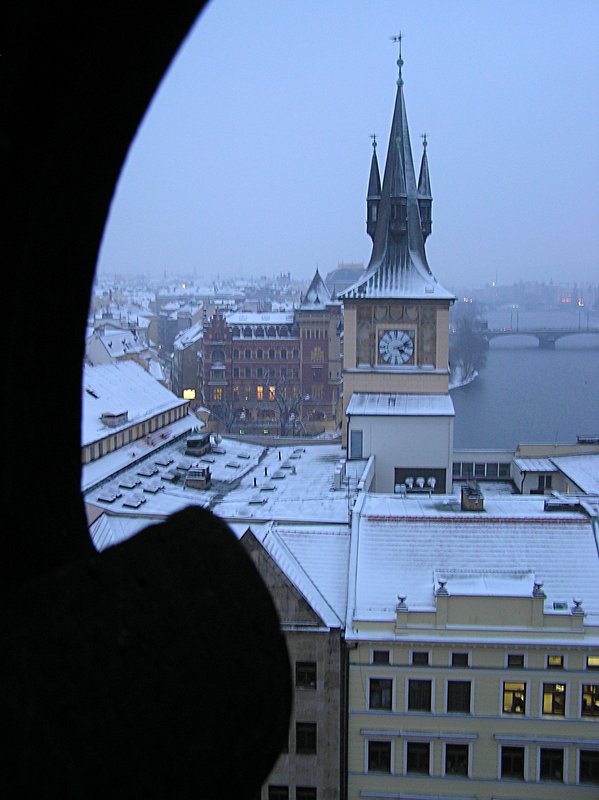 p1140041.jpg