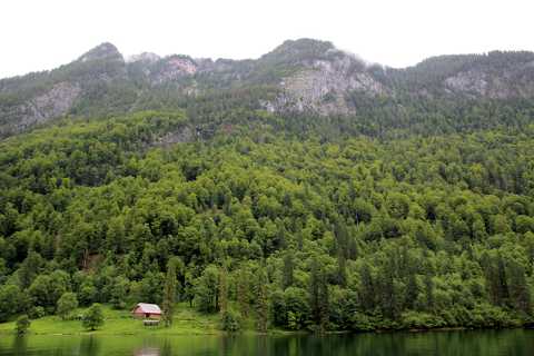 IMG_1828.JPG