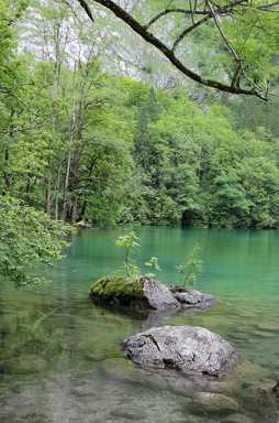 IMG_1850.JPG