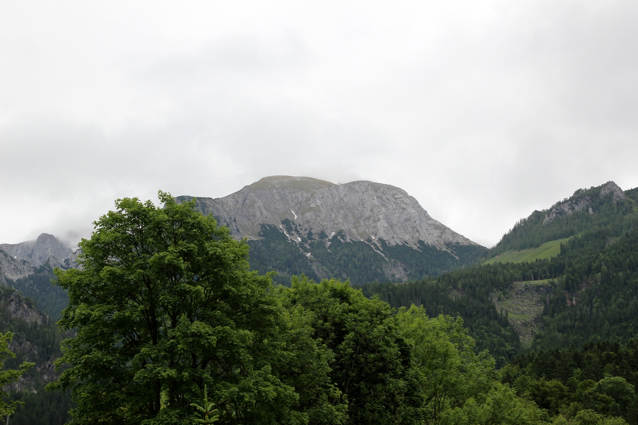 IMG_1803.JPG