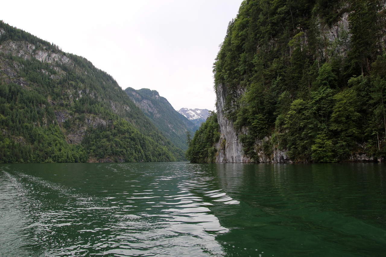 IMG_1868.JPG