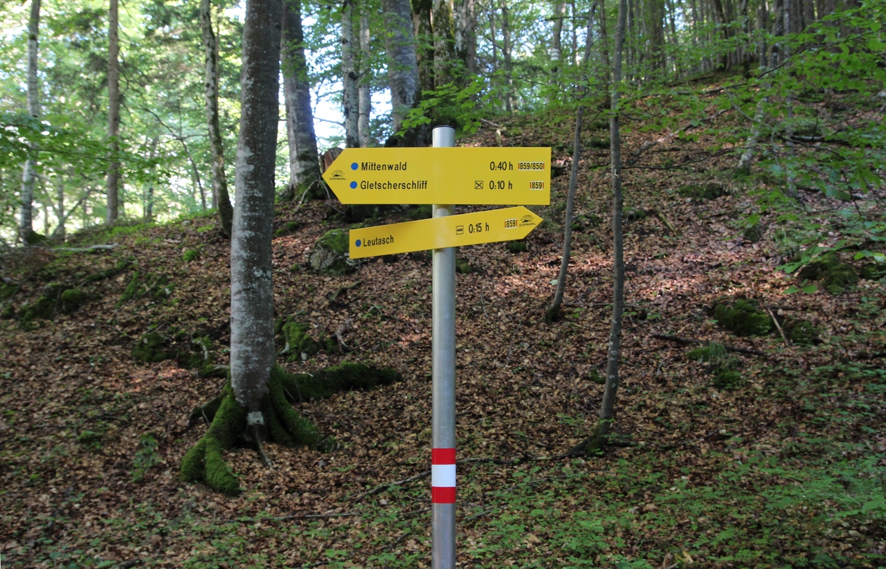 IMG_1990.JPG