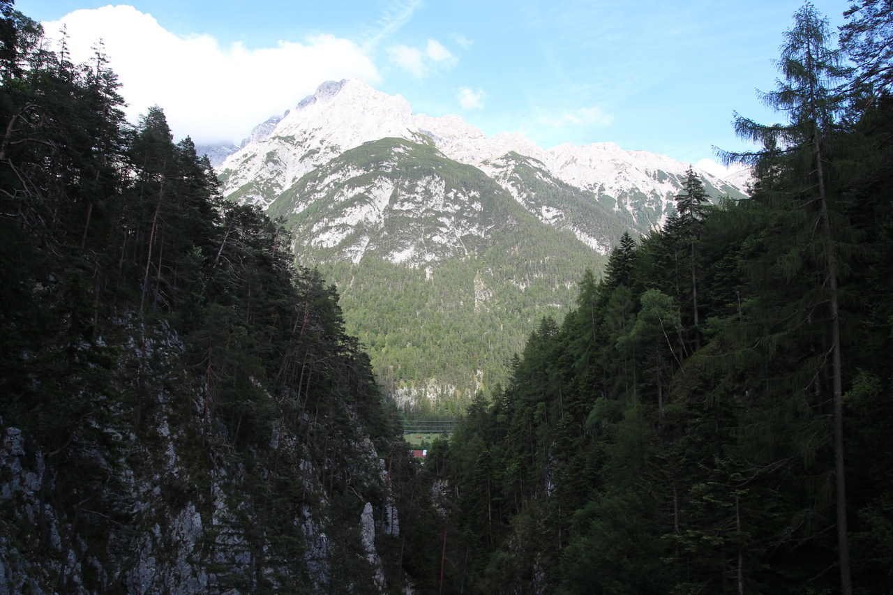 IMG_2016.JPG