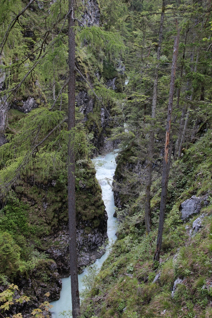 IMG_2024.JPG