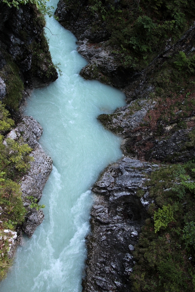 IMG_2031.JPG