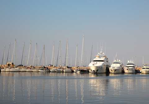 IMG_2064.JPG