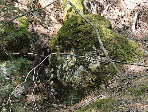 IMG_2220.JPG
