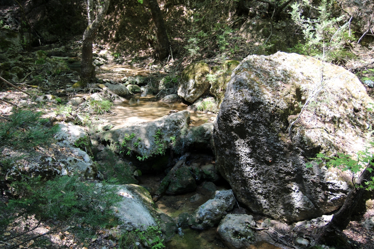 IMG_2217.JPG