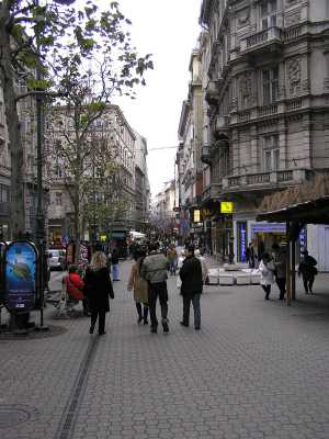 p1140010.jpg