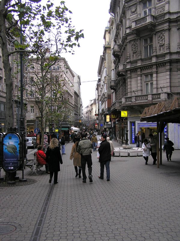 p1140010.jpg