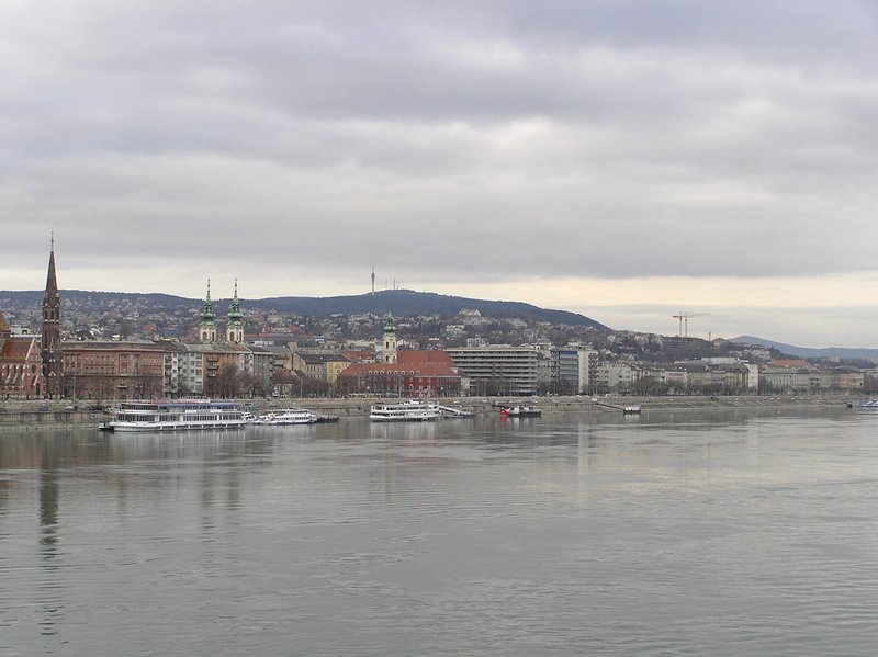 p1140031.jpg