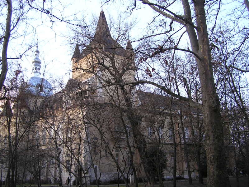 p1150110.jpg