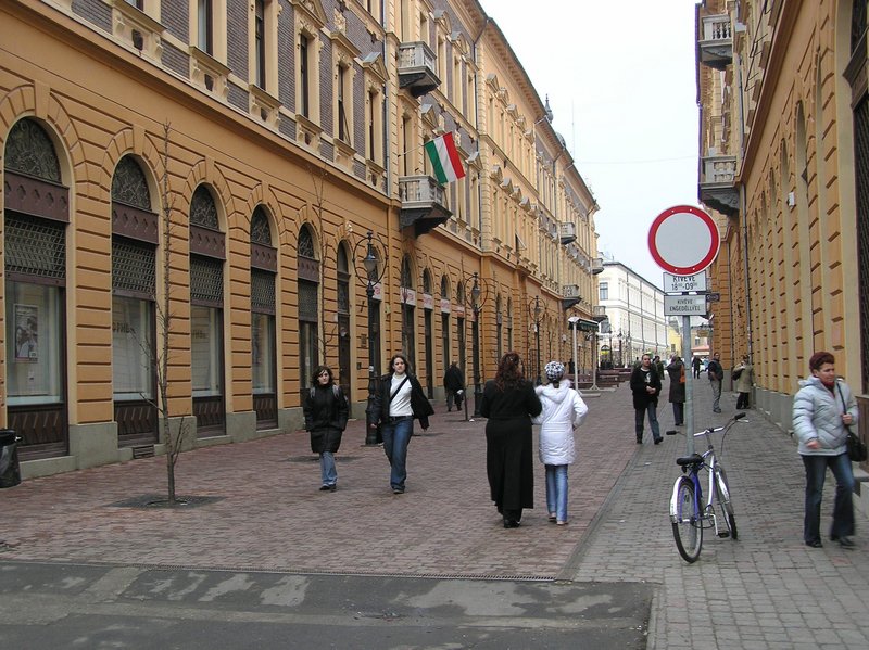 p1170173.jpg