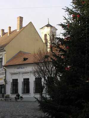 p1160144.jpg