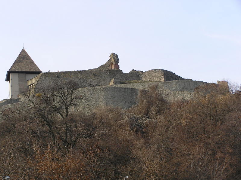 p1160135.jpg