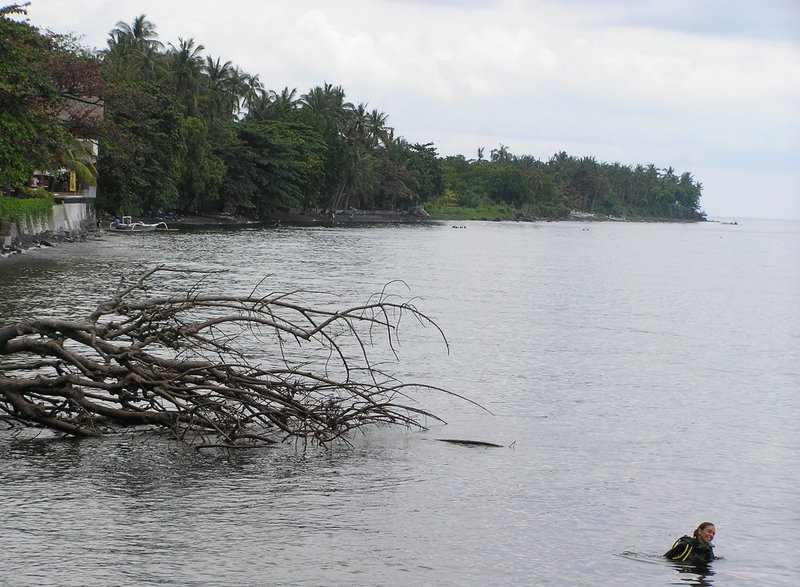 P4030233.JPG
