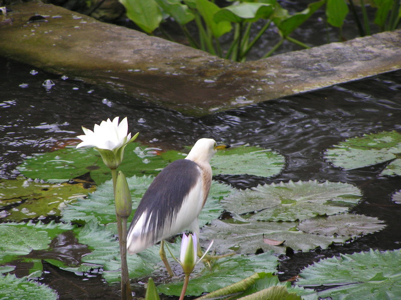 P4040265.JPG