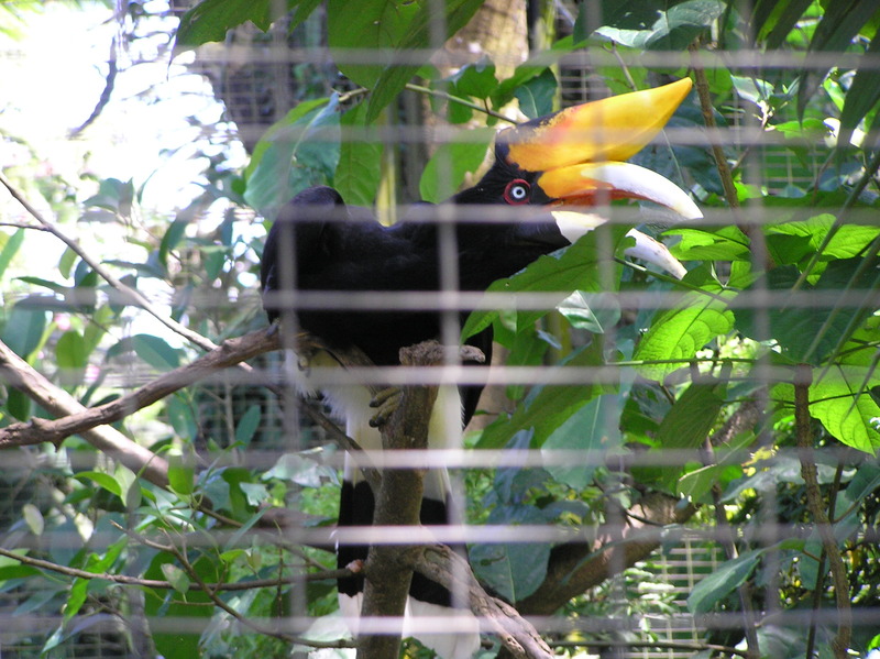 P4060342.JPG