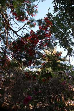 IMG_4246.JPG